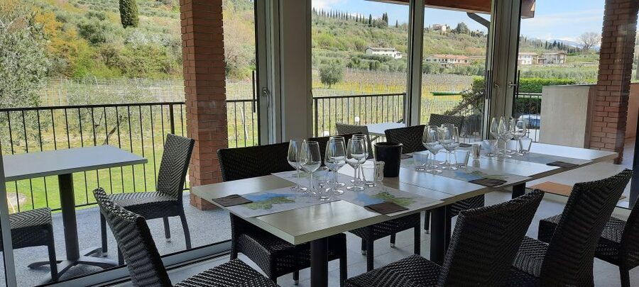 Bardolino: Vineyard Tour with Wine, Olive Oil & Food Tasting - Who will enjoy this Bardolino tasting?
