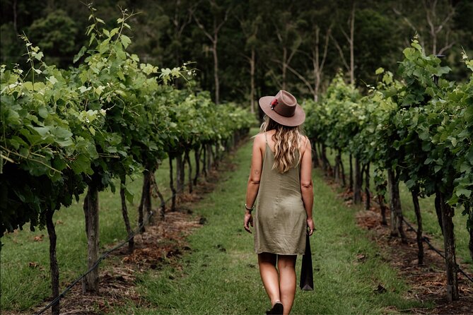 Barefoot Luxury Mount Tamborine Winery Tour from Brisbane - The best parts of the day at a glance