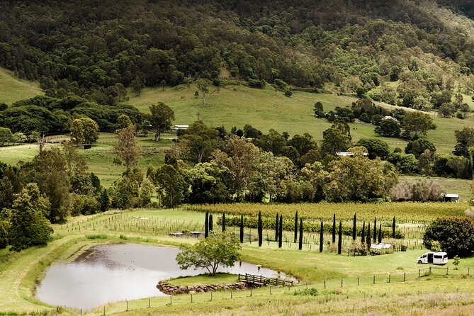 Barefoot Luxury Mount Tamborine Winery Tour from Brisbane - A full day above Brisbane