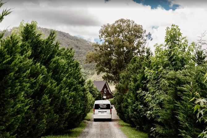 Barefoot Luxury Mount Tamborine Winery Tour from Brisbane - Witches Falls and the first serious tasting