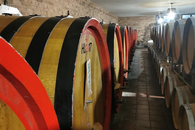 Barolo&Barbaresco Wine Experience with a local winemaker - A full day with Piedmont winemakers