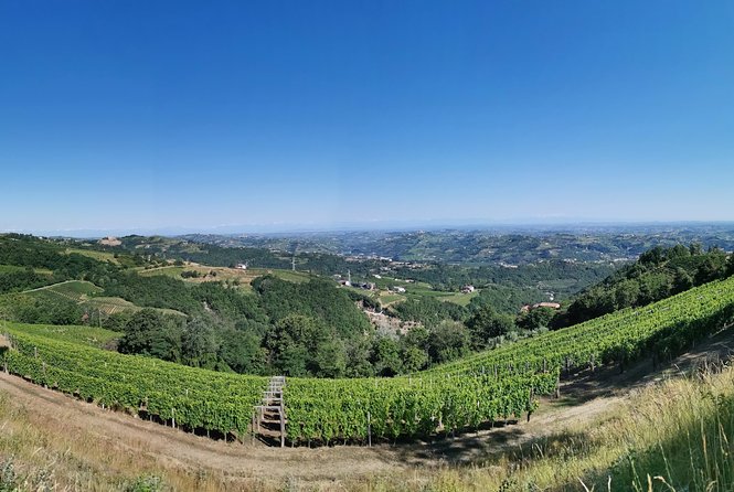 Barolo&Barbaresco Wine Experience with a local winemaker - La Morra and the best panoramic pauses
