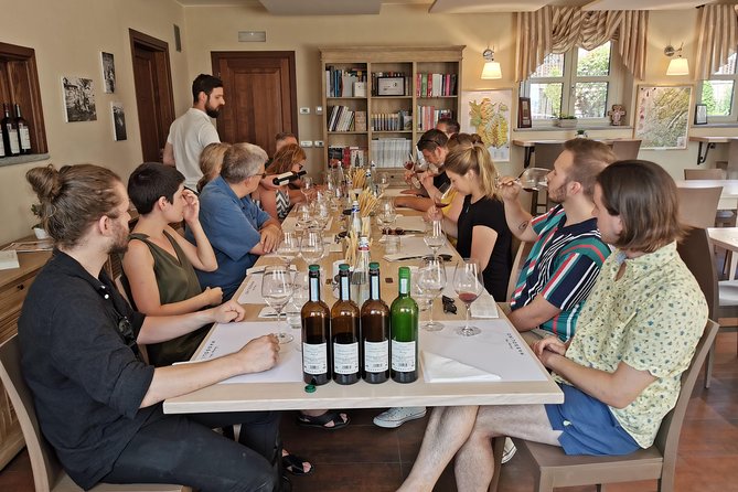 Barolo&Barbaresco Wine Experience with a local winemaker - What the winery visits are really like