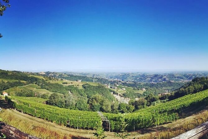 Barolo&Barbaresco Wine Experience with a Local Winemaker / Milano - Key points at a glance