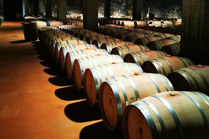 Barolo&Barbaresco Wine Experience with a local winemaker - Barbaresco from a hilltop view