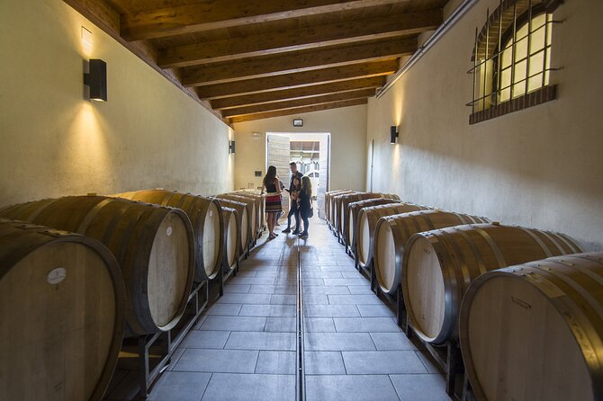 Barolo Wine Tour - Why Barolo Makes More Sense From the Hills