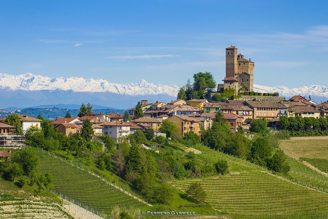 Barolo Wine Tour - Who Will Enjoy This Half-Day Tour Most?