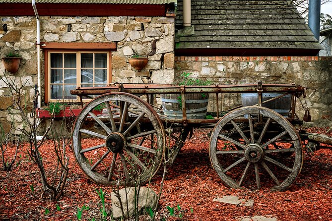 Barossa and Hahndorf Wine Tasting and Sightseeing Tour - Maggie Beer and the first taste of South Australia