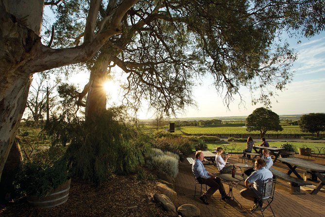 Barossa Valley Hop-On Hop-Off Wine Tour - Picking the right four stops