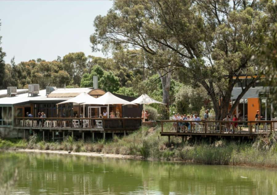 Barossa Valley: Maggie Beer's Wine Tasting & Cheese Platter - The cheese platter and dam views
