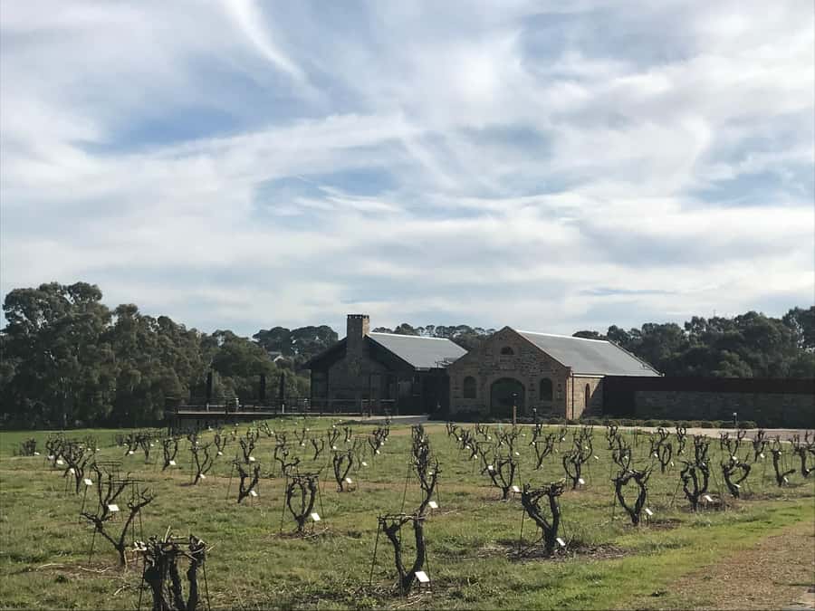 Barossa Valley: Small Group Wine Tour (Includes Lunch) - Four or five cellar doors, chosen around your taste