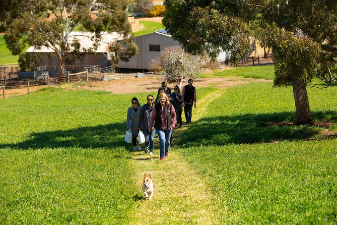 Barossa Wine Tasting shared tours - Lunch with local produce