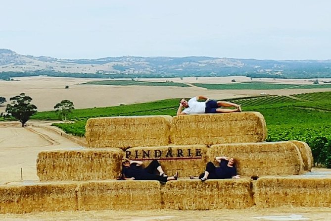 Barossa Wine Tasting shared tours - The real price: $47 plus tasting fees