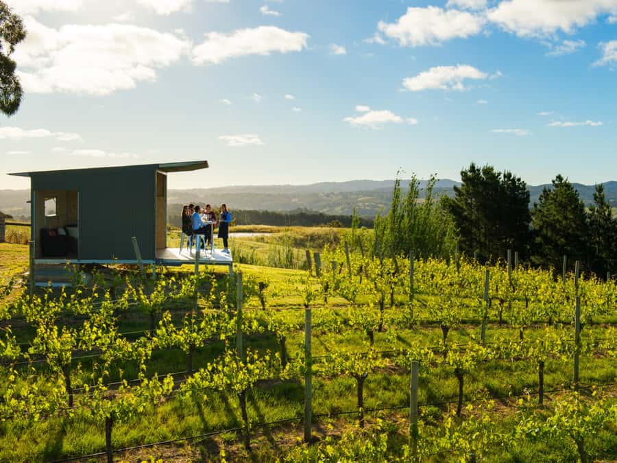 Barossa Wine Tour: Small Group 8 max, Rare, Unique, Premium - Key points to know before booking
