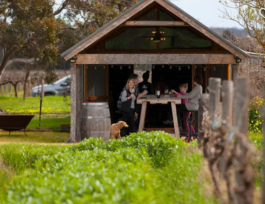 Barossa Wine Tour: Small Group 8 max, Rare, Unique, Premium - Why this Barossa day feels different