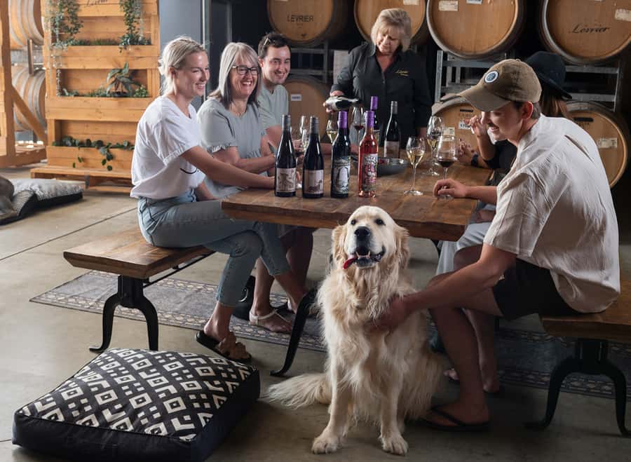 Barossa Wine Tour: Small Group 8 max, Rare, Unique, Premium - Who will enjoy this tour most