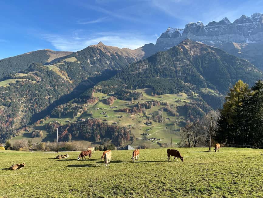 Basel: Local Cheese Tasting Tour with a Cheese Sommelier - Starting at Binningerstrasse 15
