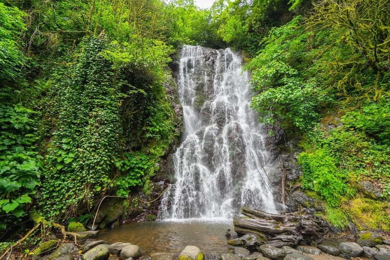 Batumi: Wine & Dine Tour To Waterfalls - Mountainous Adjara - Timing, comfort, and weather