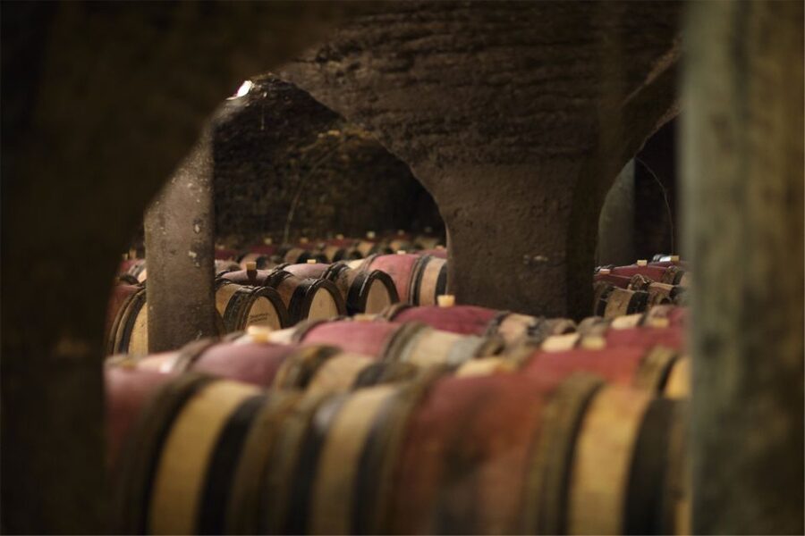 Beaune: Maison Champy Guided Cellar Tour with Wine Tasting - Learning how Burgundy’s vineyard system works