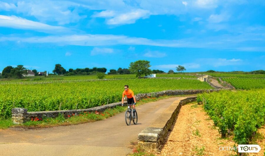 Beaune: Winery Tour by Bike with Wine Tasting - Why this bike tour works so well in Burgundy