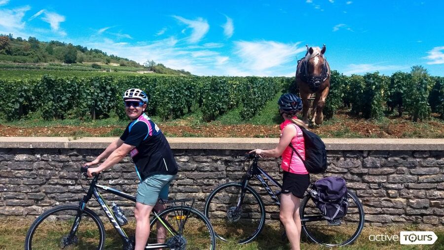 Beaune: Winery Tour by Bike with Wine Tasting - The first pedal strokes toward Pommard