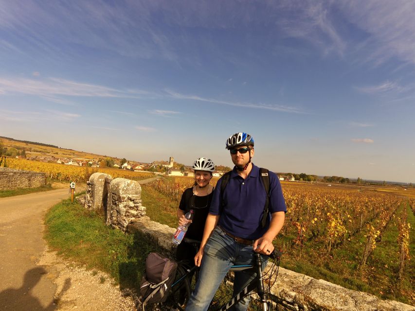 Beaune: Winery Tour by Bike with Wine Tasting - Finding the starting point at Parc de la Bouzaize
