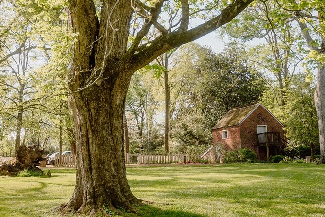 Belle Meade Guided Mansion Tour with Complimentary Wine Tasting - Horse-farm history and the Belle Meade story
