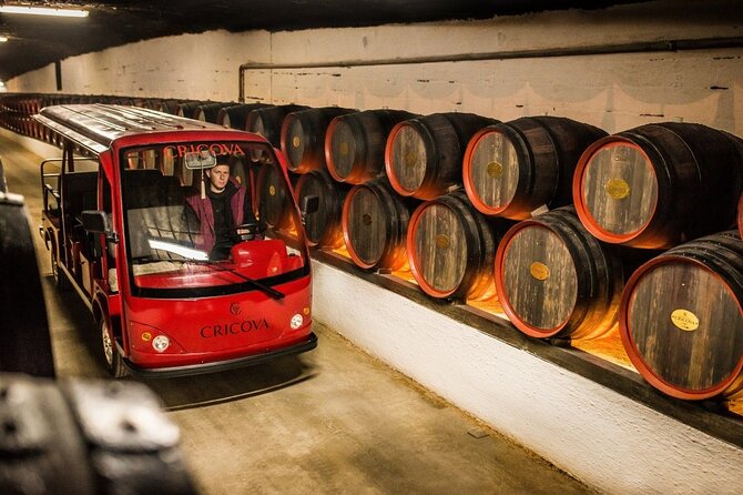 Best of Moldova: Cricova Winery & Old Orhei Tour including Curchi Monastery - Transport, group size, and comfort
