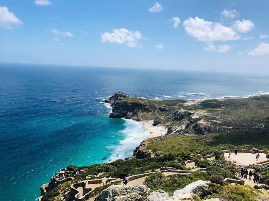Best of the Cape Peninsula & Wine Route with Wine Tasting - Simon’s Town and the optional penguin visit