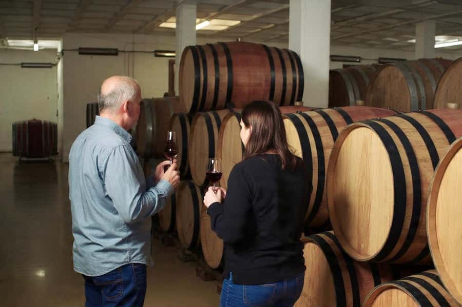 Best of the Cape Peninsula & Wine Route with Wine Tasting - Stellenbosch changes the mood