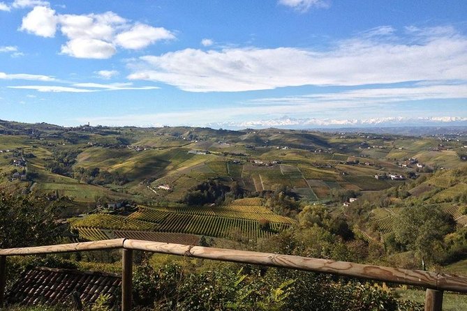 "Between Langhe and Monferrato" - Wine Tasting and Cellar Visit - Why the $24.14 price works well