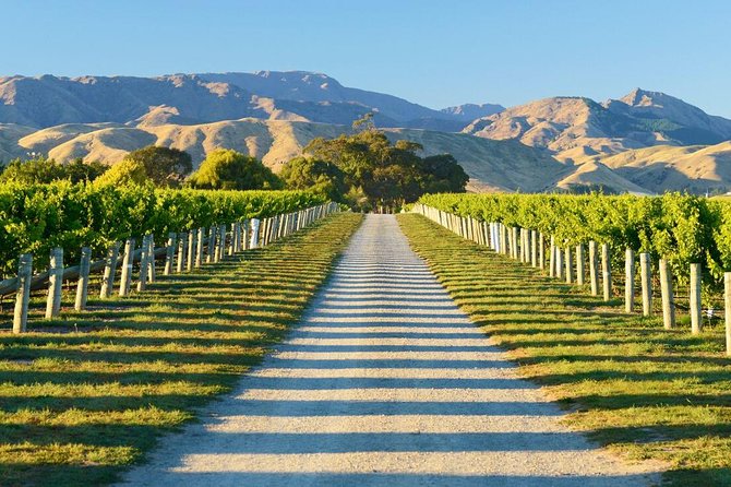 Beyond the Vines - Full-Day Marlborough Wine Tasting Tour - Marlborough beyond Sauvignon Blanc