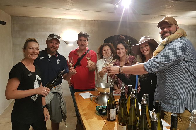 Beyond the Vines - Full-Day Marlborough Wine Tasting Tour - Who should book this day?