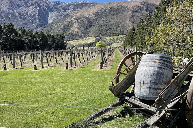 Bike & Wine Tour: Arrowtown to Valley of the Vines - Key things to know before booking