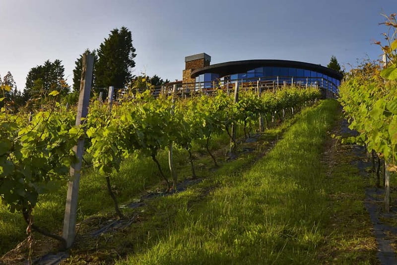 Bilbao: Gaztelugatxe, Bermeo, Mundaka, Gernika, & Wine Tour - What the $58 price really covers