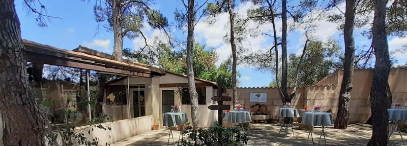 Binissalem: Individual vineyard tour and wine tasting in German - Key points at a glance