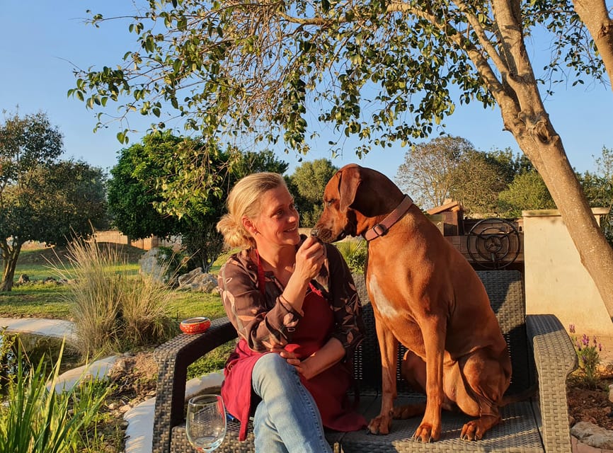 Binissalem: Individual vineyard tour and wine tasting in German - The personal touch from Nici and Timo