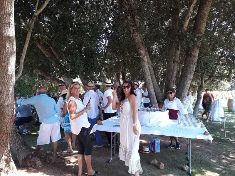 Binissalem: Individual vineyard tour and wine tasting in German - Who will enjoy this wine experience most