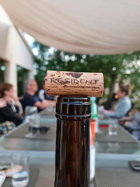 Binissalem: Individual vineyard tour and wine tasting in German - Meeting at the bodega gate