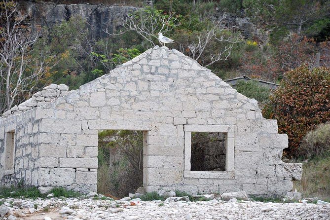 Bits of History - Half day kayak Tour with Wine delight - Vrnik and the story written in stone