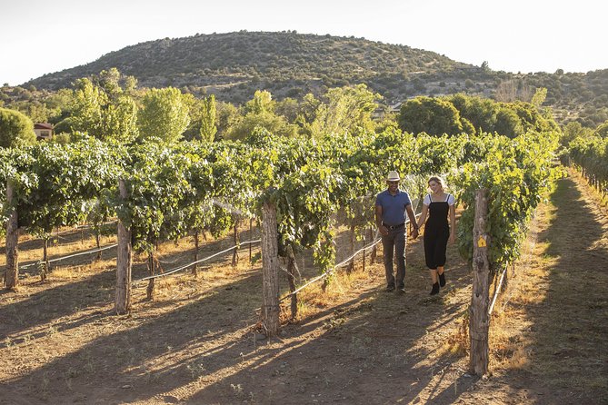 Bliss - Sedona’s Most Luxurious Wine Tour - Lunch Included! - Four wineries without the designated-driver problem