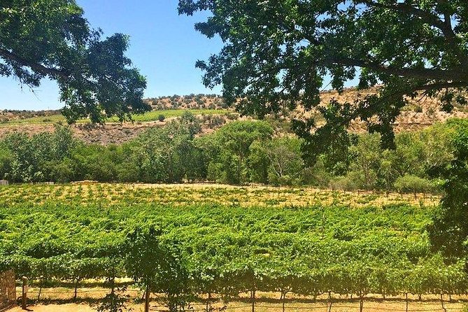 Bliss - Sedona’s Most Luxurious Wine Tour - Lunch Included! - Pickup near 89A is useful, but confirm your location