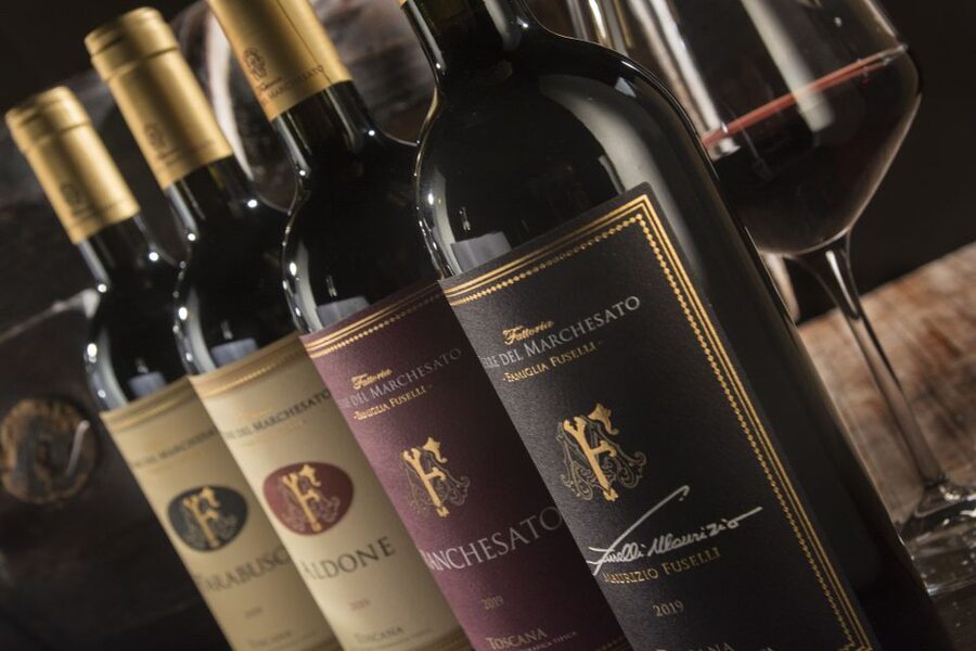 Bolgheri: Winery Tour with Wine Tasting - Starting among Bolgheri’s vines