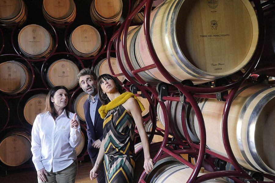 Bolgheri: Winery Tour with Wine Tasting - Inside Terre del Marchesato’s winery