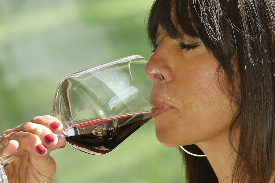 Bolgheri: Winery Tour with Wine Tasting - Is $29 a fair price?