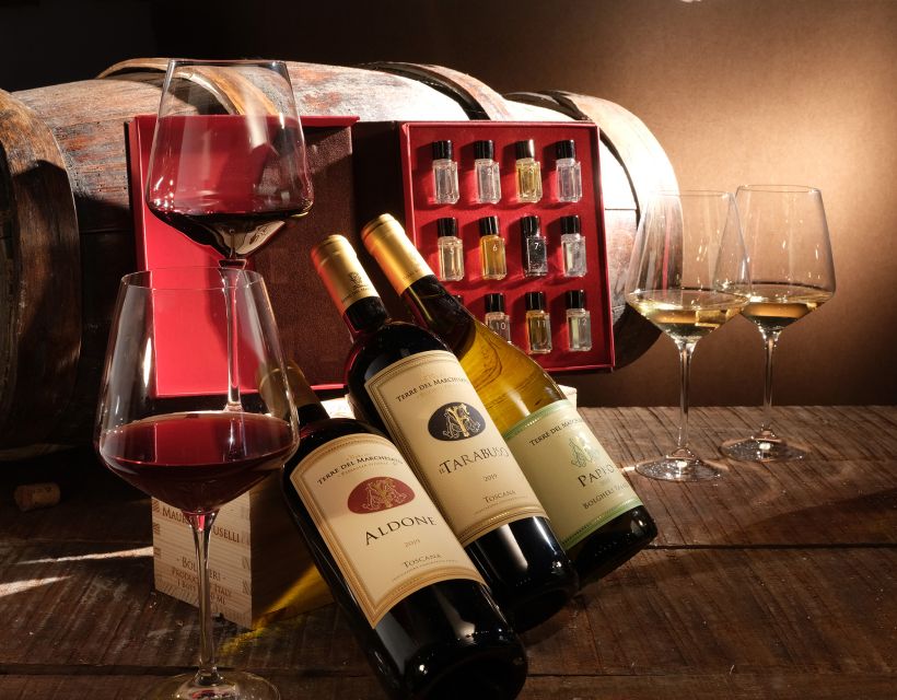 Bolgheri: Winery Tour with Wine Tasting - Who will get the most from this winery visit?