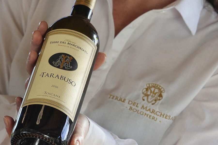 Bolgheri: Winery Tour with Wine Tasting - Should you book Terre del Marchesato?