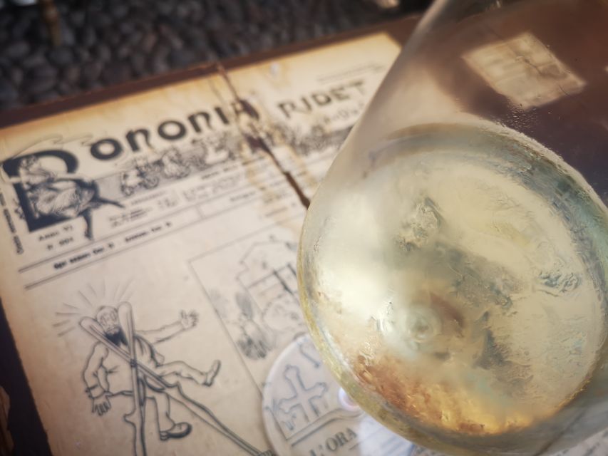 Bologna: City Center Guided Wine Walking Tour - Meeting Filippo in Piazza del Nettuno