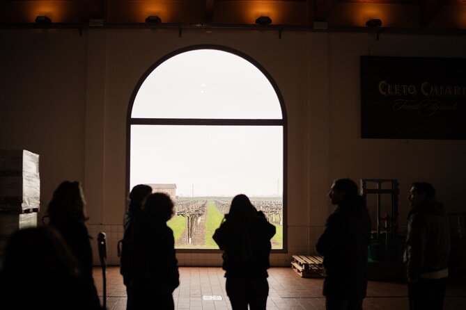 Bologna Food Valley: Factory tasting, Wines & traditional Lunch - Pace, group size, and guide style