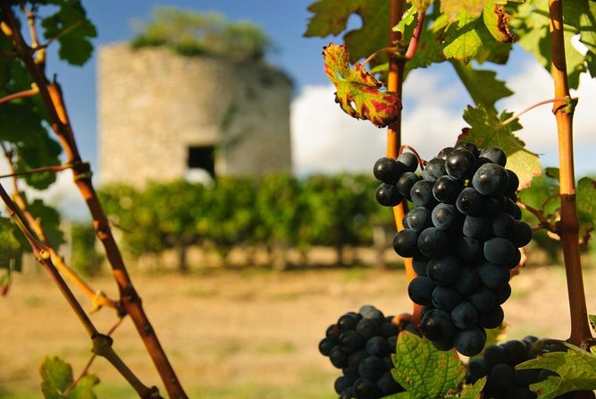 Bordeaux Full day Medoc and St Emilion 3 chateaux with Lunch - What makes this Bordeaux wine day special